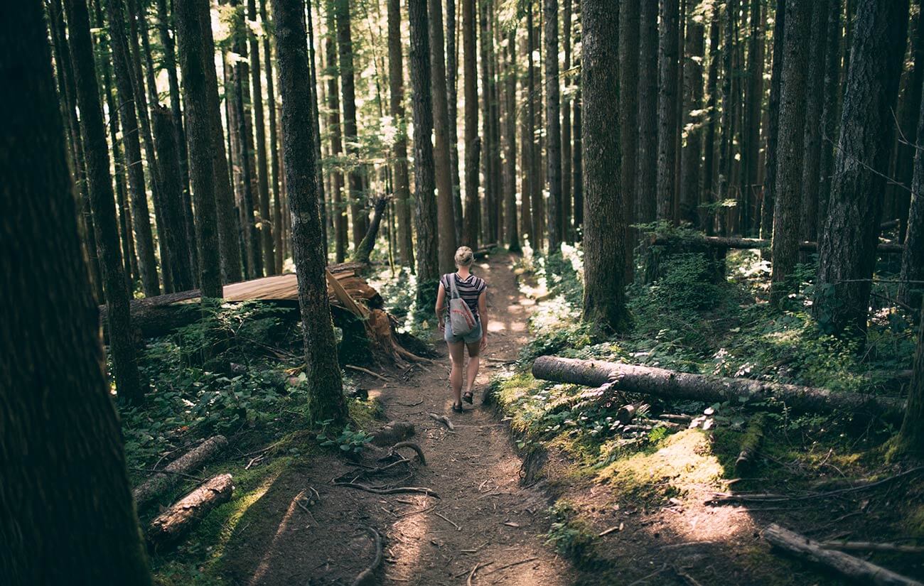 Silent Retreats at the Sevalight Centre on the Sunshine Coast of BC