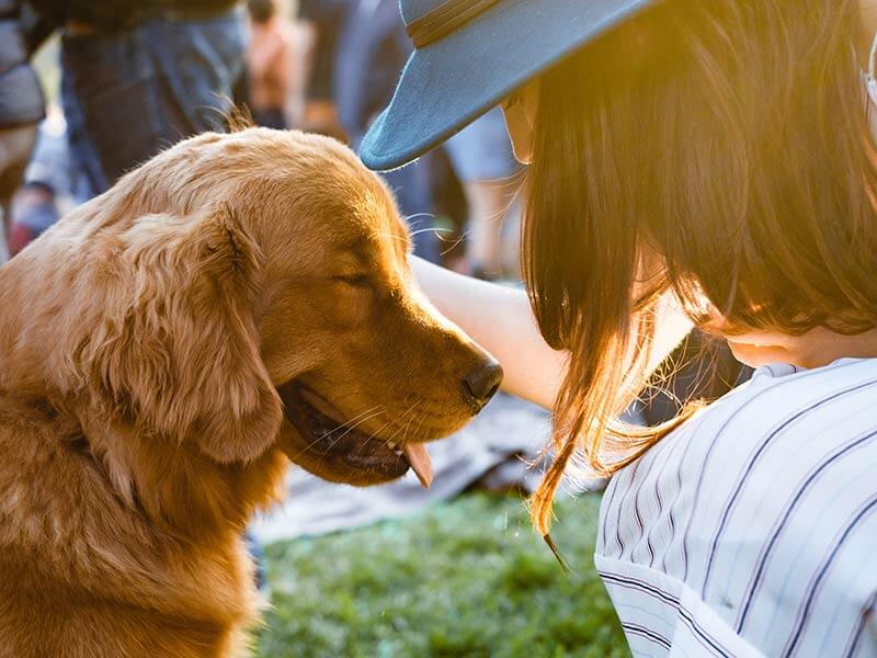 Healing for Animals - holistic dog therapy, Sunshine Coast BC